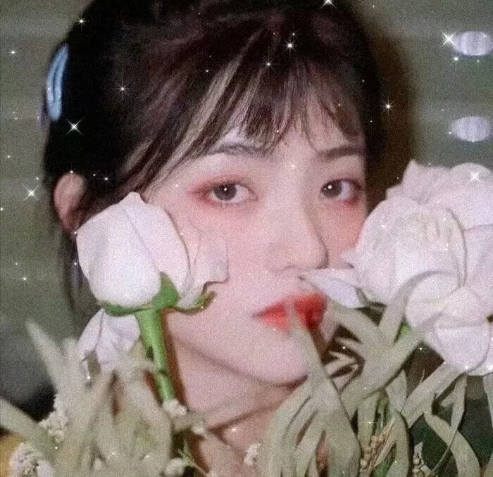 毁灭种子